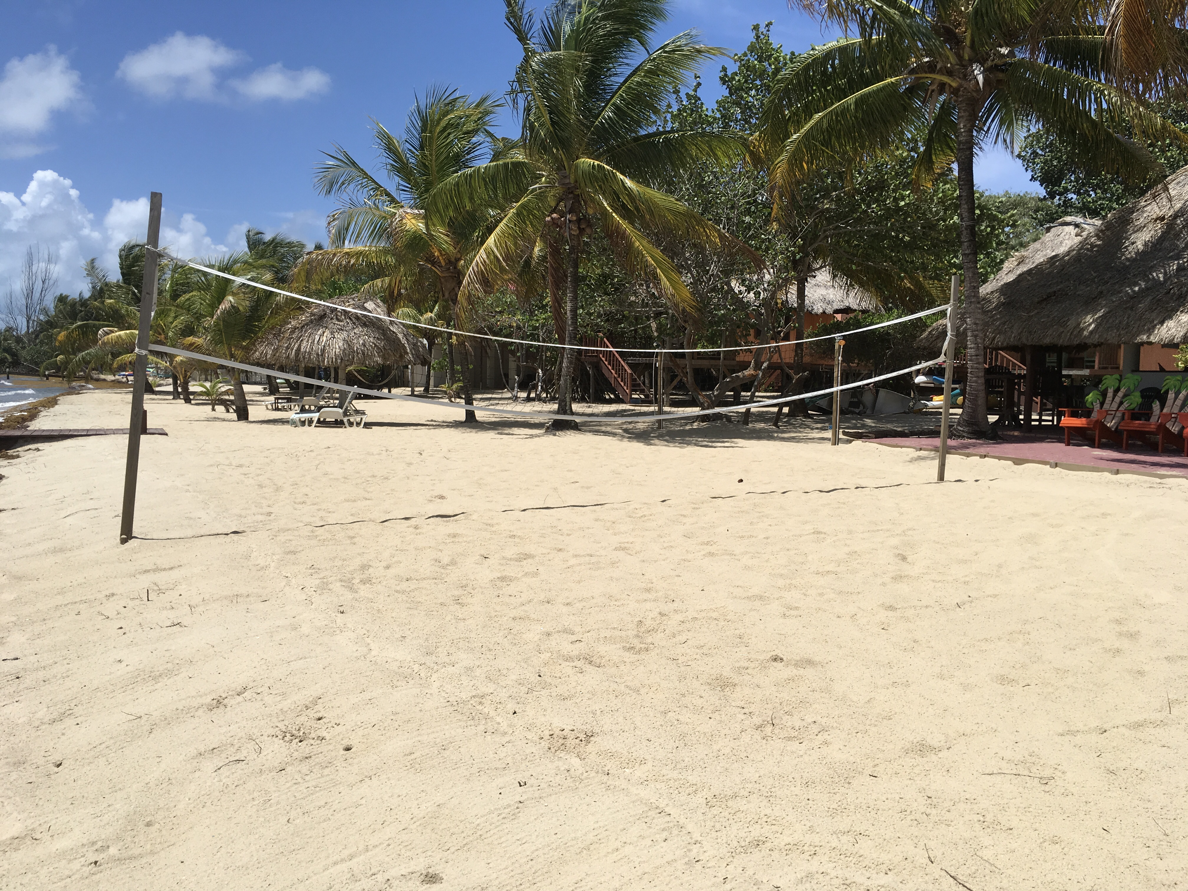 Green Parrot Beach Houses & Restaurant photo 5