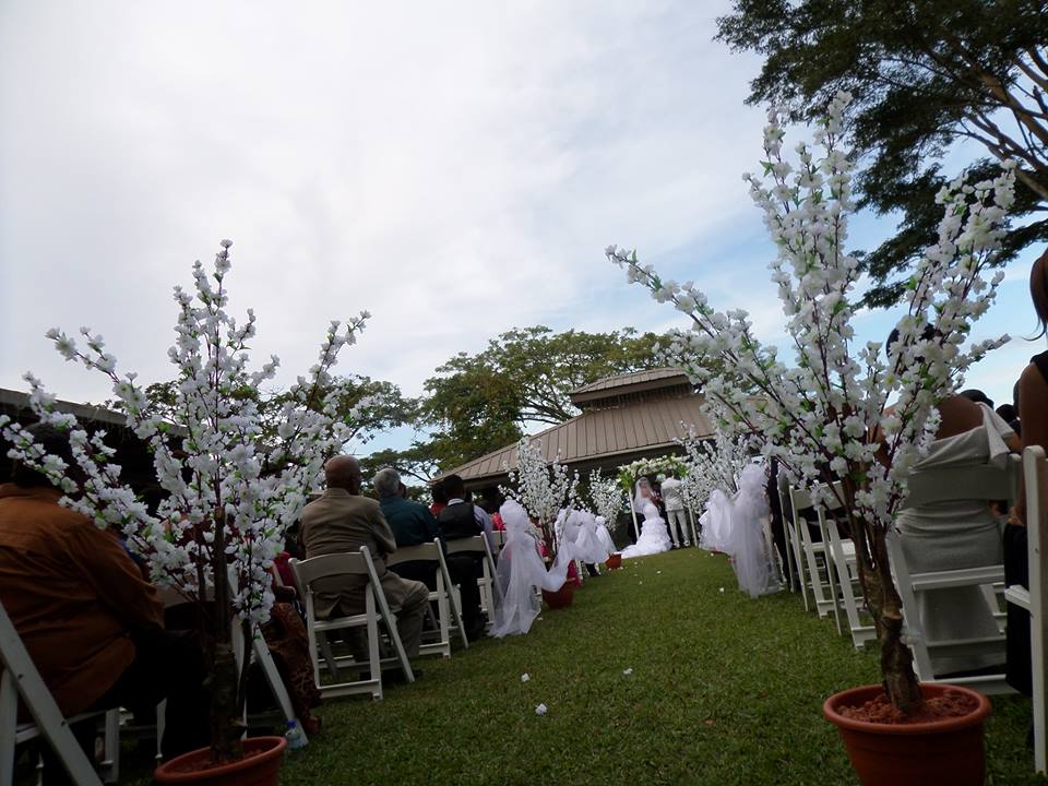 Oasis Garden Terrace photo 2
