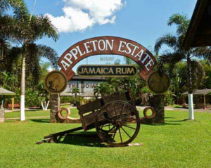 Appleton Estate photo 2
