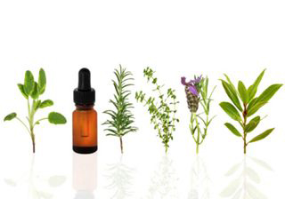 Sunshine Pharmacy Ltd photo 3