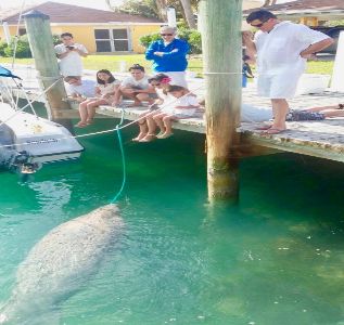 Davis Harbour Marina photo 16