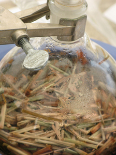 Scientific Research Council photo 4
