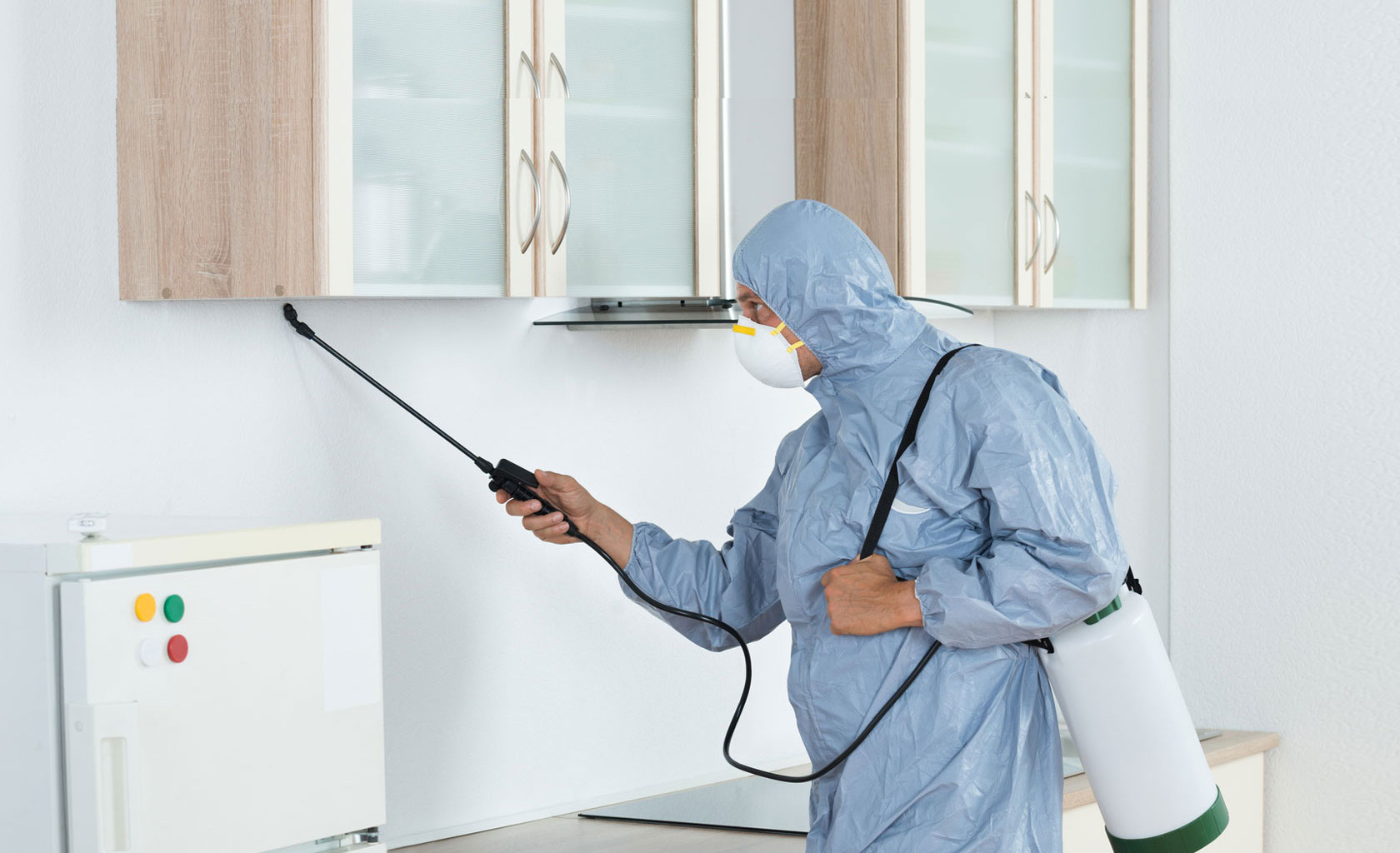 ALPS Pest Solutions Ltd photo 2