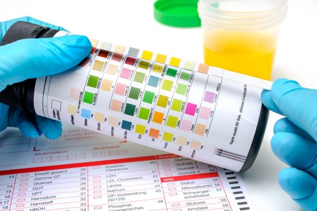 Path Care Medical Laboratory Ltd photo 10