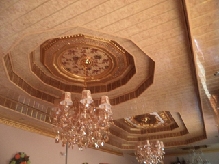 PVC Professional Ceilings photo 4