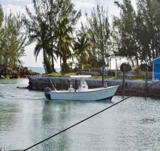 Davis Harbour Marina photo 6