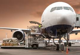 Kelly Services Customs Brokerage Ltd photo 2