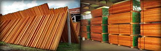 A J K Corporate Services Belize Ltd photo 4