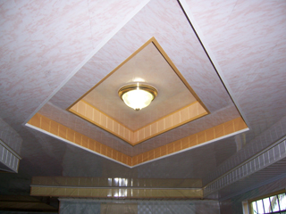 PVC Professional Ceilings photo 7