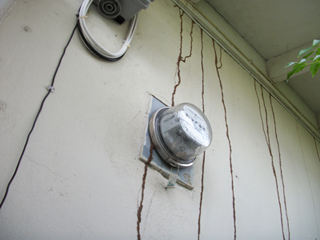 Caribpest Control & Pesticide (Health) Consultants Ltd photo 2