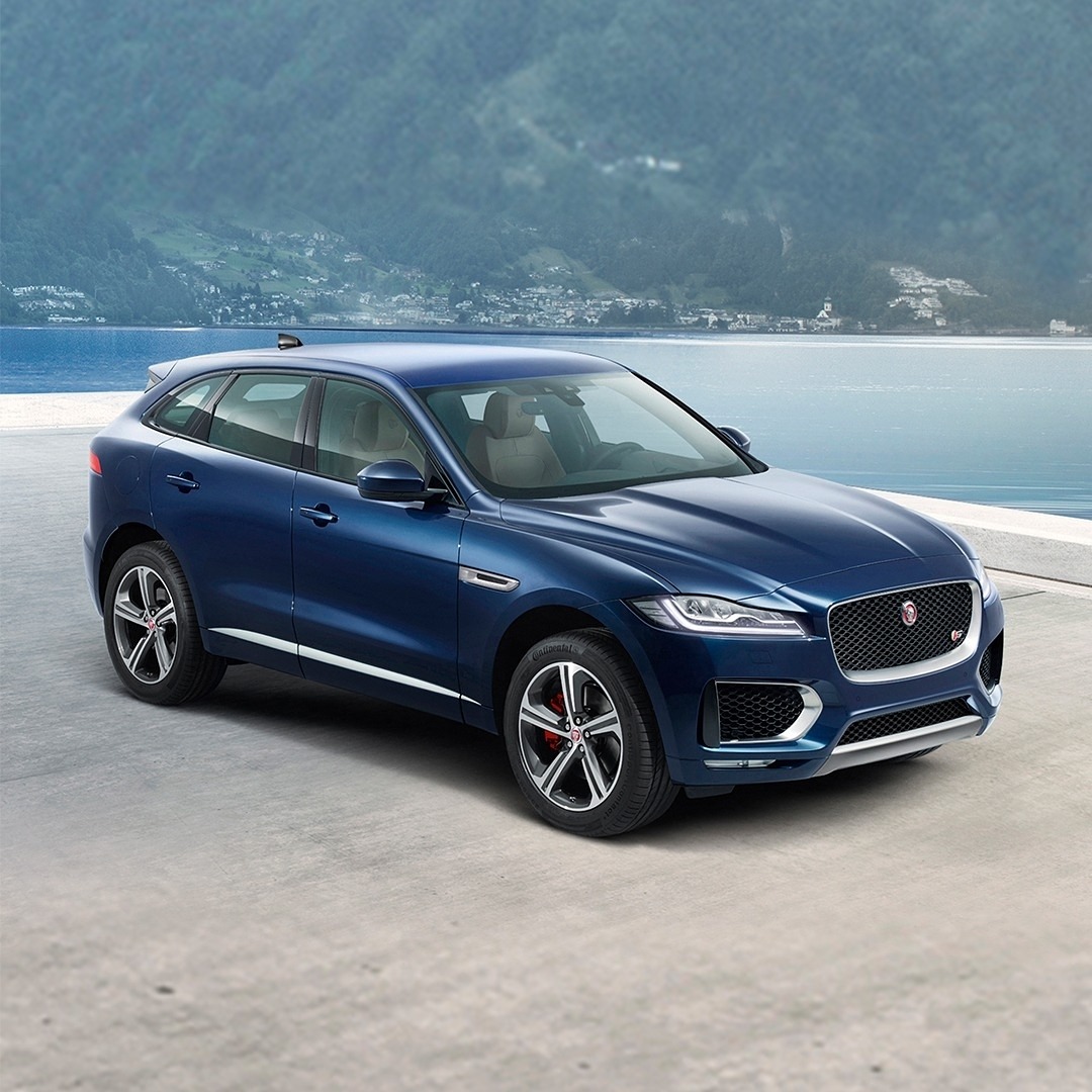 Jaguar photo 8