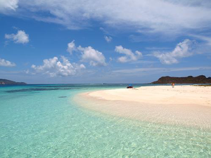 Suntanner Yacht Brokerage photo 10