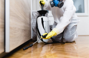 Central Pest Control photo 8